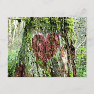 Washington State Postcard: Tree of Love Postcard