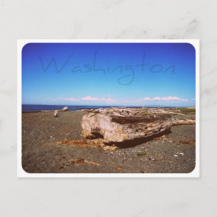 Washington State Seashore: Photograph Postcard