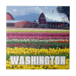 Washington State   Tulip Field Ceramic Tile