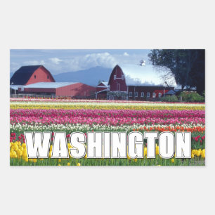 Washington State Tulip Field Rectangular Sticker