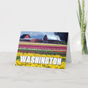 Washington State   Tulip Field   Thank You