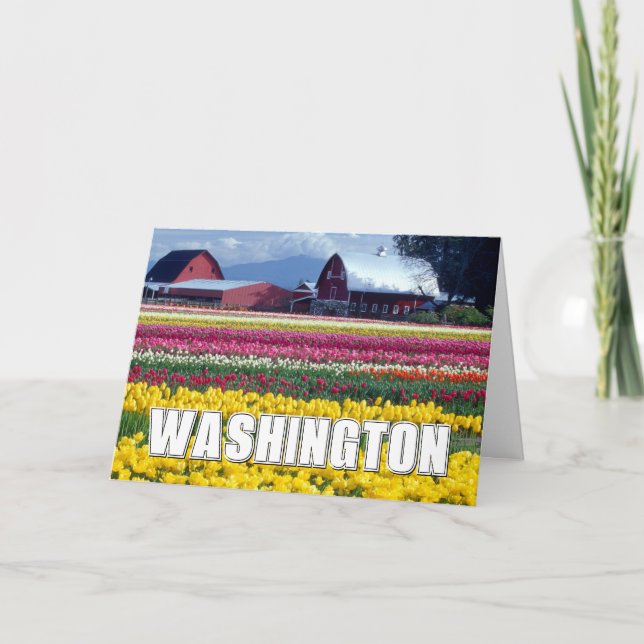 Washington State | Tulip Field | Thank You Card (Front)