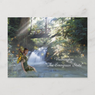 Washington "The Evergreen State" Postcard