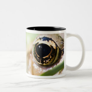 Washington, USA Two-Tone Coffee Mug