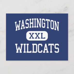Washington - Wildcats - High - Pensacola Florida Postcard