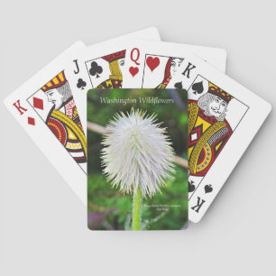 Washington Wildflower Pasqueflower White Seed Head Playing Cards