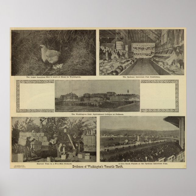 Washington's versatile thrift poster (Front)