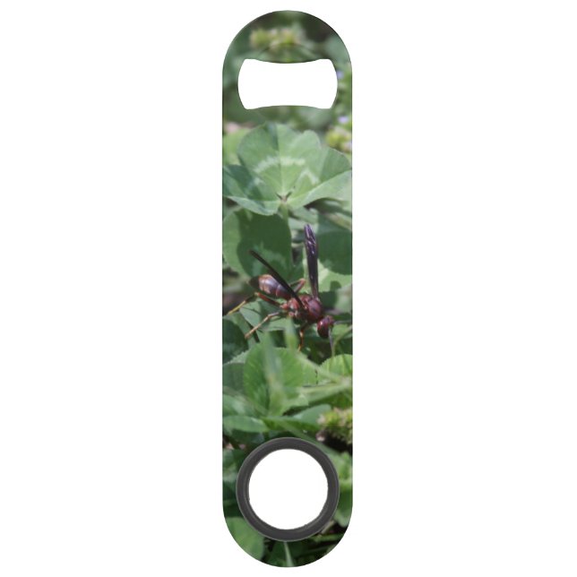 Wasp Bottle Opener (Front)