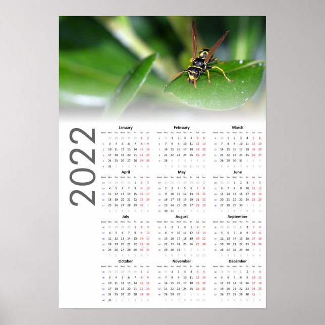 Wasp Calendar 2022 Poster - Monday start (Front)