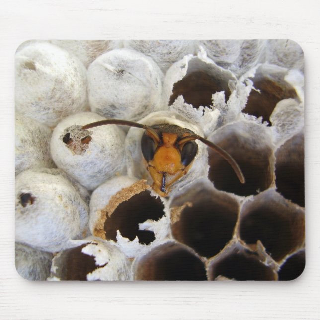 Wasp Emerging From Nest Mouse Mat (Front)