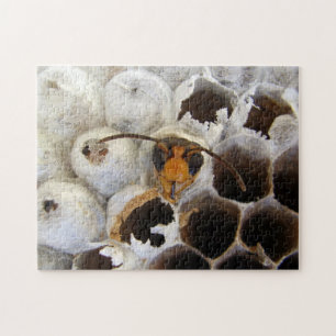 Wasp Emerging From Nest Photo Puzzle & Gift Box
