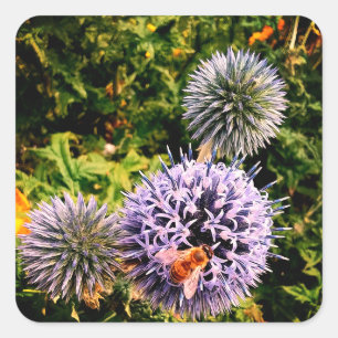 Wasp , in blue flowers square sticker