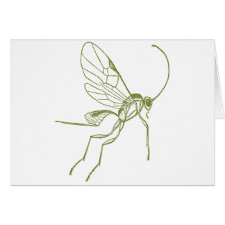 Wasp, Meteorus Hyphantria