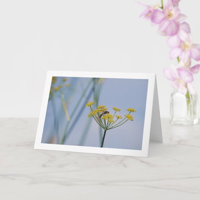 Wasp Pollinating Wild Fennel Card (Orchid)