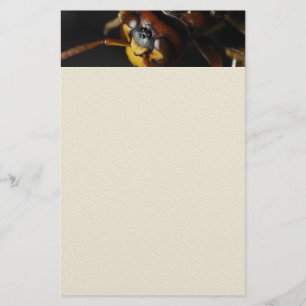 Wasp Stationery