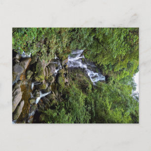 Wasserfall in Kerry, Irland (Ring of Kerry) Postcard