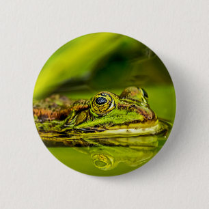 Wasserfrosch 6 Cm Round Badge