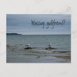 Wassup, gullfriend? postcard