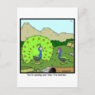 Wasting your time: Peacock Cartoon Postcard