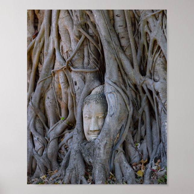 Wat Mahathat Buddha Head Poster (Front)