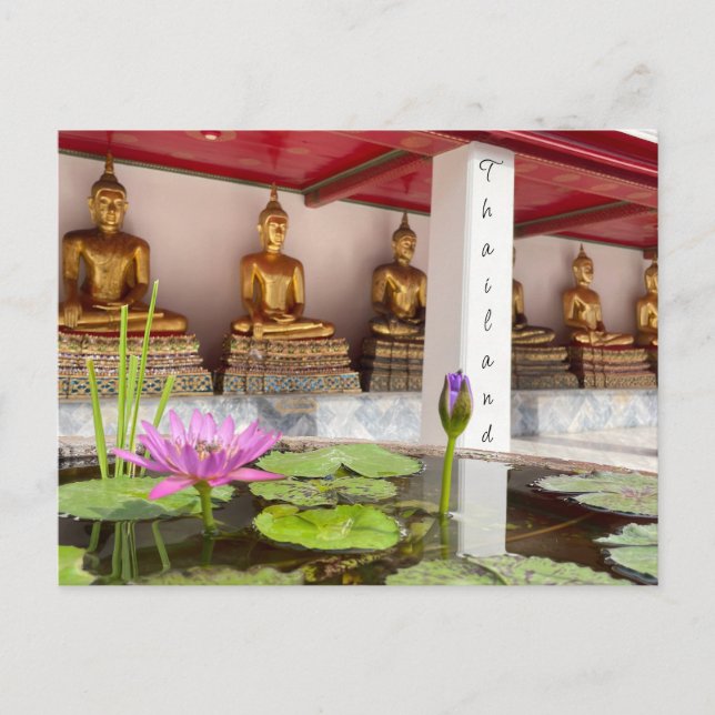wat pho buddha lotus postcard (Front)