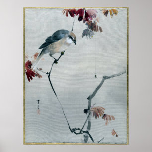 Watanabe Seitei Bird on Branch Watching Spider Poster