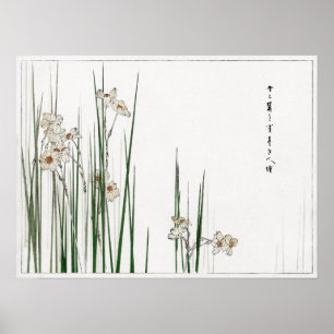 Watanabe Seitei Jonquil Illustration from Bijutsu  Poster