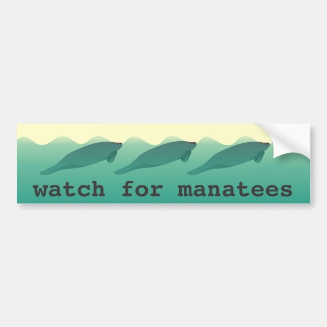 Watch for Manatees bumper sticker (Front)