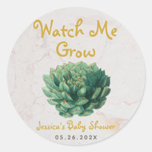 Watch Me Grow Baby Shower Botanical Succulent  Classic Round Sticker