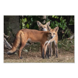  Watch Out For My Brother Photo Print