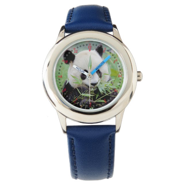 Watch photo giant panda. Panda geant. (Front)