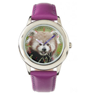 Watch photo red panda. Panda roux.