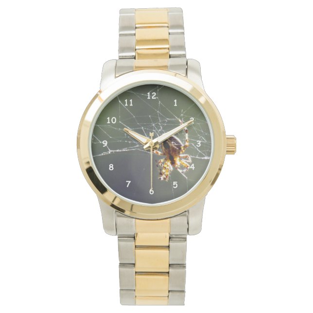 Watch - Spider on Web (Front)