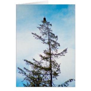 Watch Tower