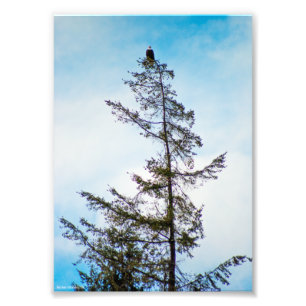 Watch Tower Photo Print