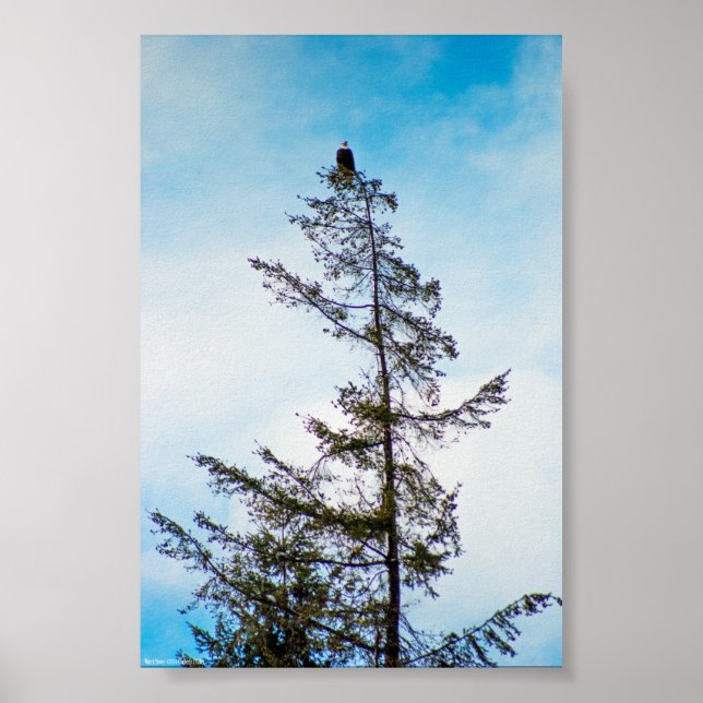 Watch Tower Poster (Front)