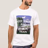 Watch Wagon Train