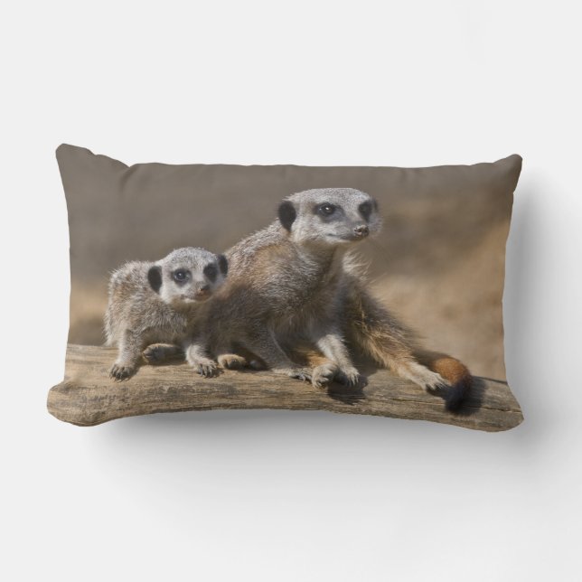 Watch with Mother Pillow (Front)