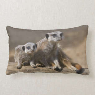 Watch with Mother Pillow