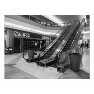 "Watch Your Step" Photo Print