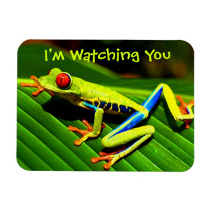 Watched by Tree Frog Fridge Magnet
