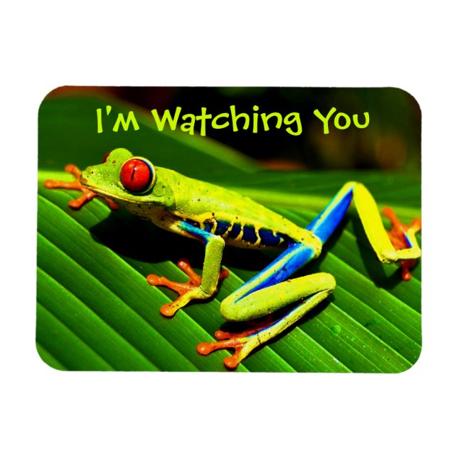Watched by Tree Frog Fridge Magnet (Horizontal)