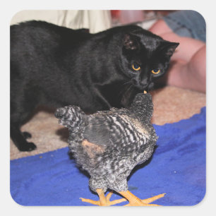 Watchers Square Sticker