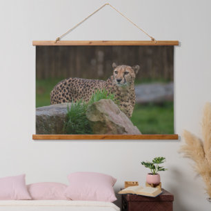 Watchful Cheetah Peeking from Behind a Rock Hanging Tapestry