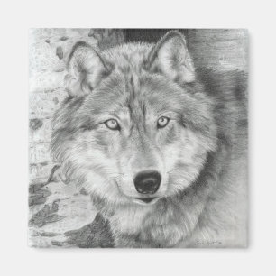 Watchful Eyes Wolf Magnet