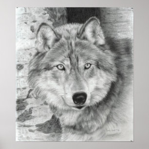 Watchful Eyes wolf poster