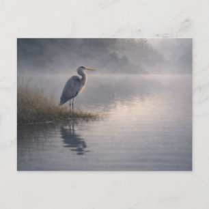 Watchful Heron   Great Blue Heron   Postcard