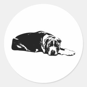 Watchful Pitbull Mix Monochrome Gaze Sticker