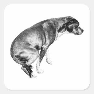 Watchful Pup, Cosy Season Square Sticker