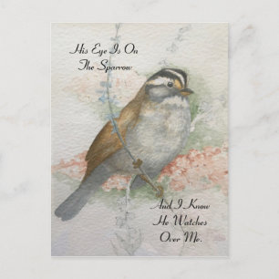 Watchful Song Sparrow Bible Quote Watercolor Postcard
